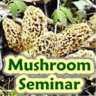Mushroom Seminar