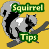 Squirrel Tips